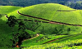 Kerala